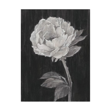 Ethan Harper 'Black And White Flowers Ii' Canvas Art,14x19